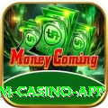 Cricket Betting Pakistan Premium Casino App
